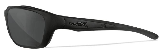 Wiley X Brick ANSI Sunglasses Discounts for Veterans VA